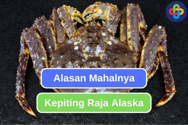 Mengungkap Rahasia Mahalnya Kepiting Raja Alaska